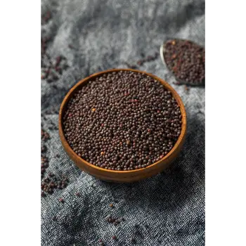  Fresh Brown Mustard Seeds